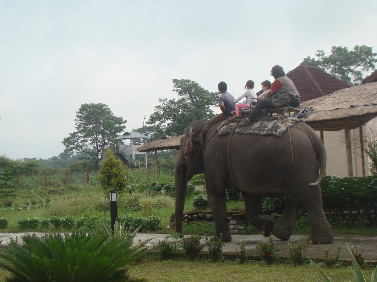 Musa Jungle Retreat Kumguri Buitenkant foto